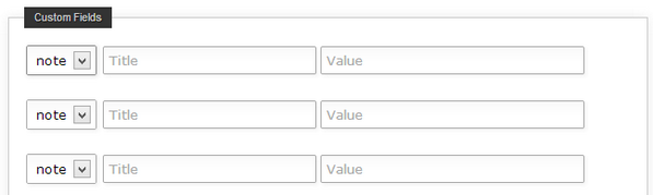 The custom field inputs